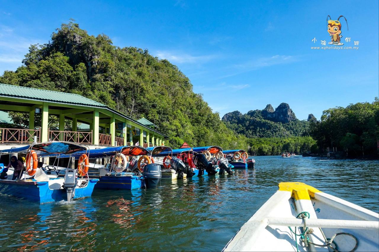 Jelajahi Hutan Mangrove Langkawi: Surga Keanekaragaman Hayati